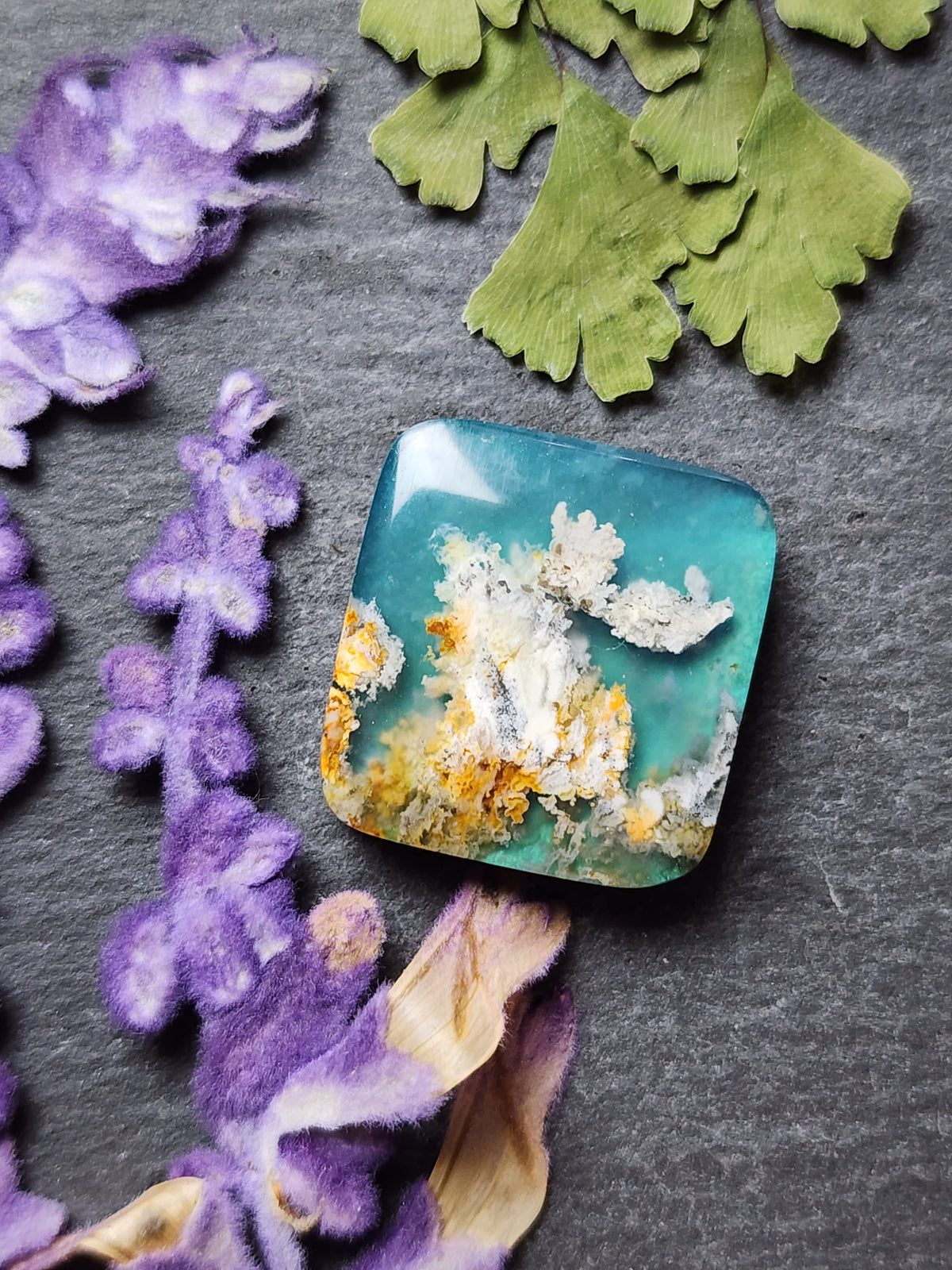 Bella Vista plume agate Doublet