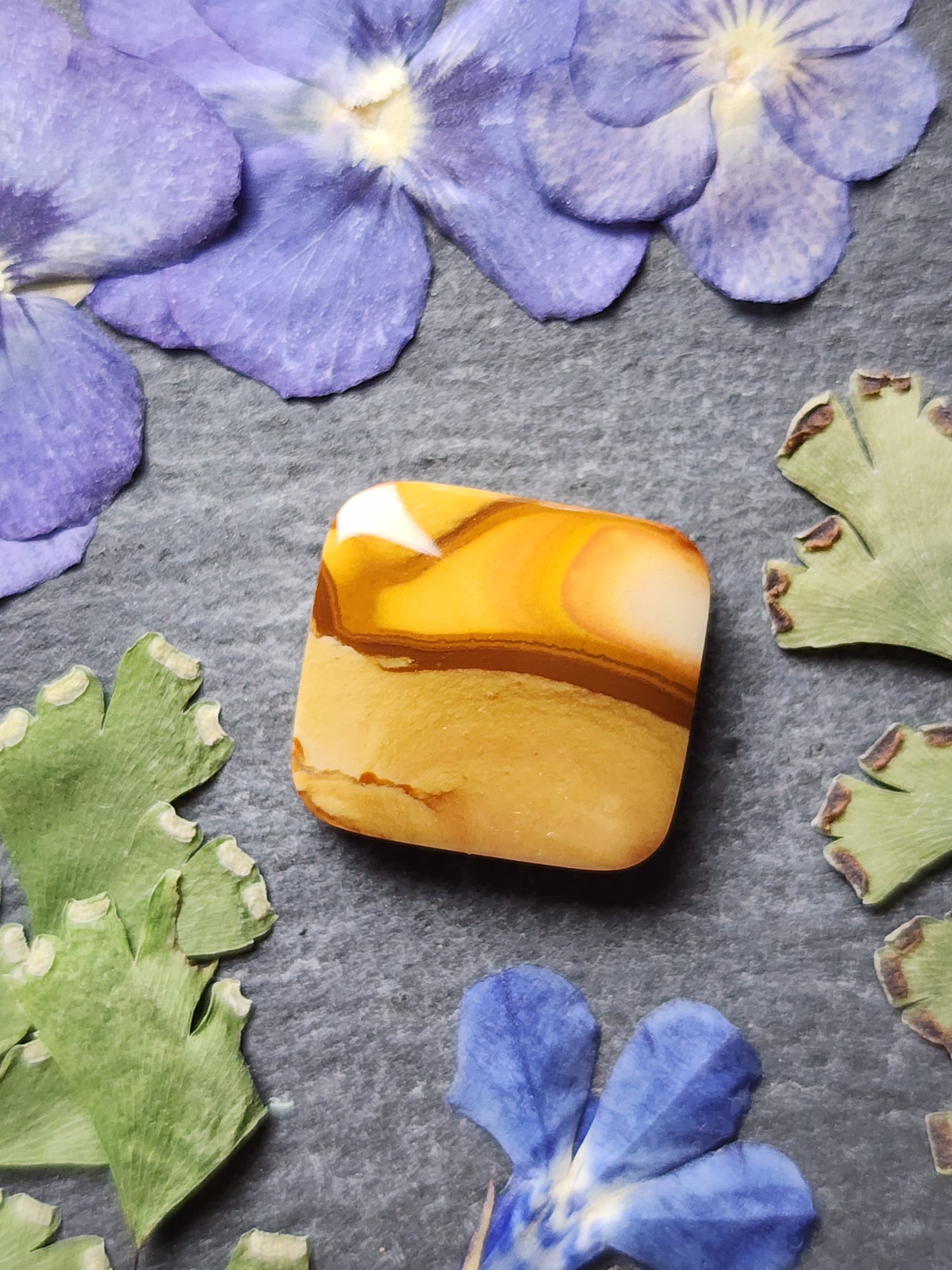 Owyhee jasper