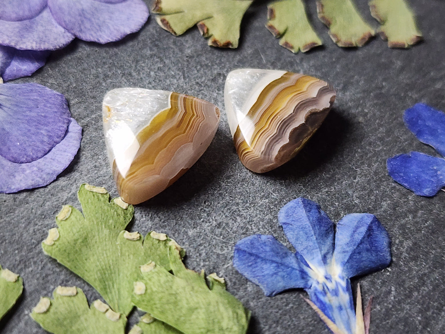 Agua Nueva agate pair