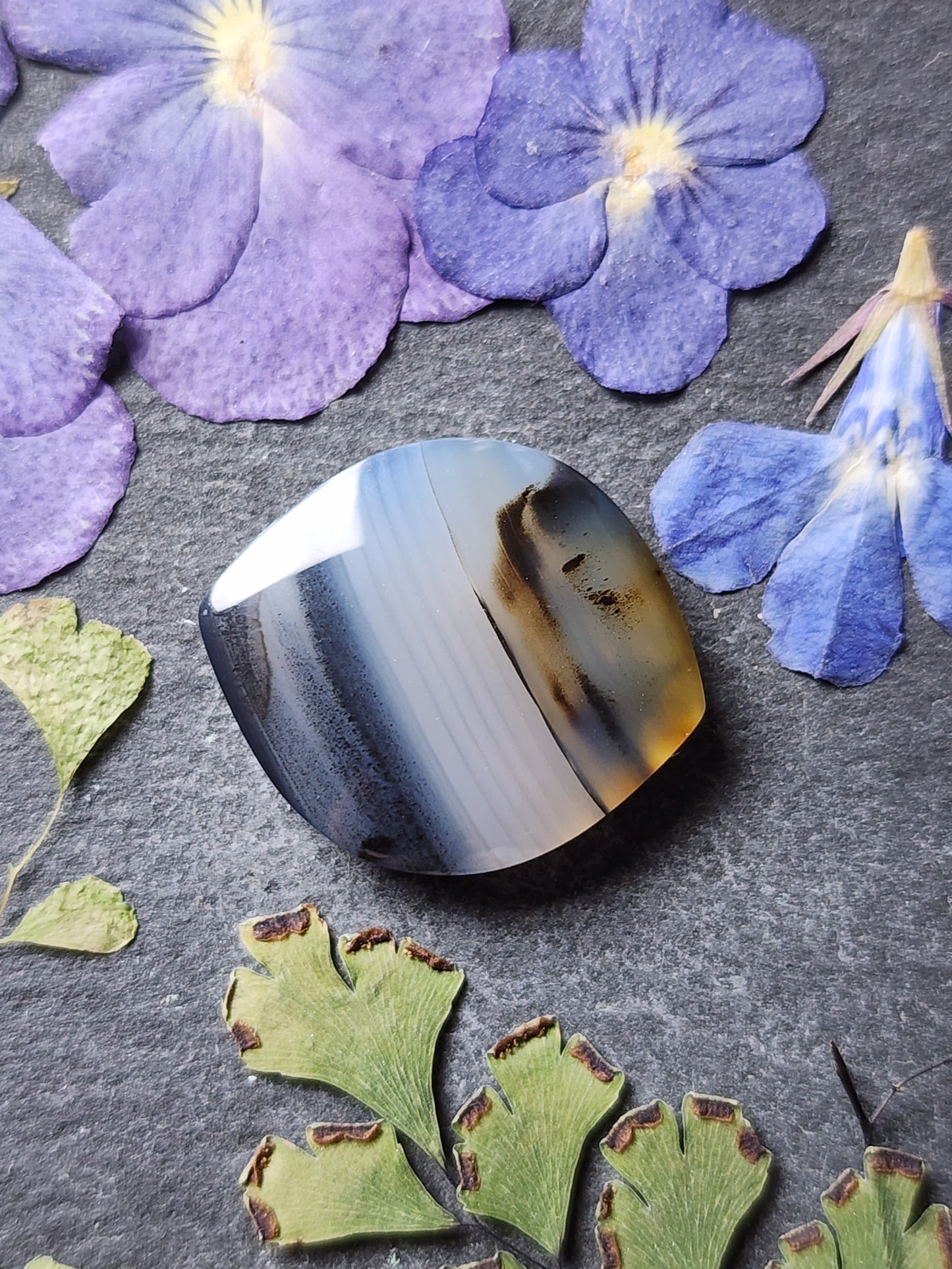 Montana agate