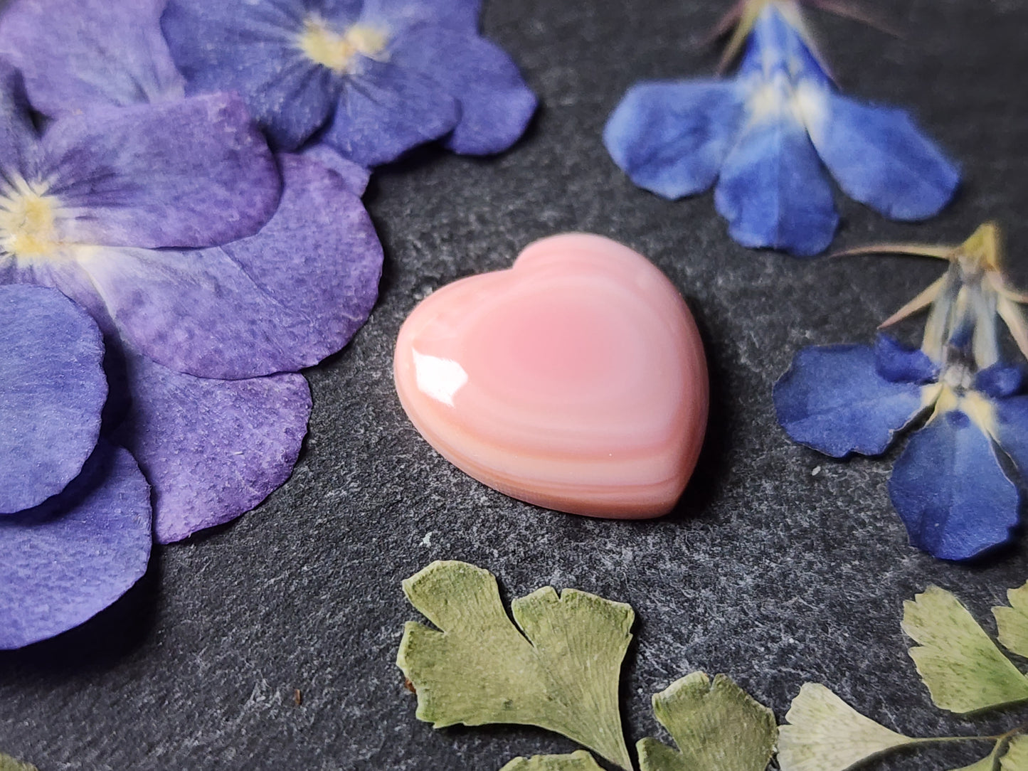 Pink Conch shell heart