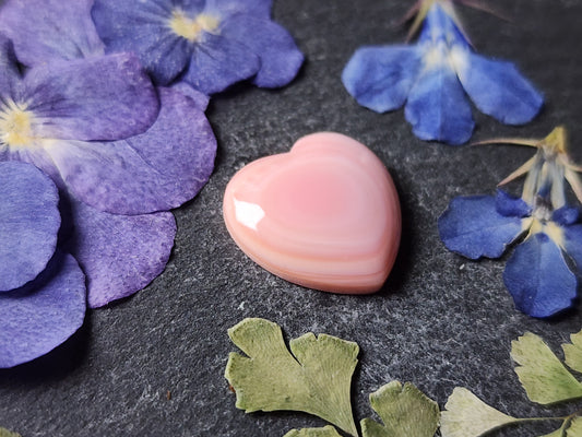 Pink Conch shell heart