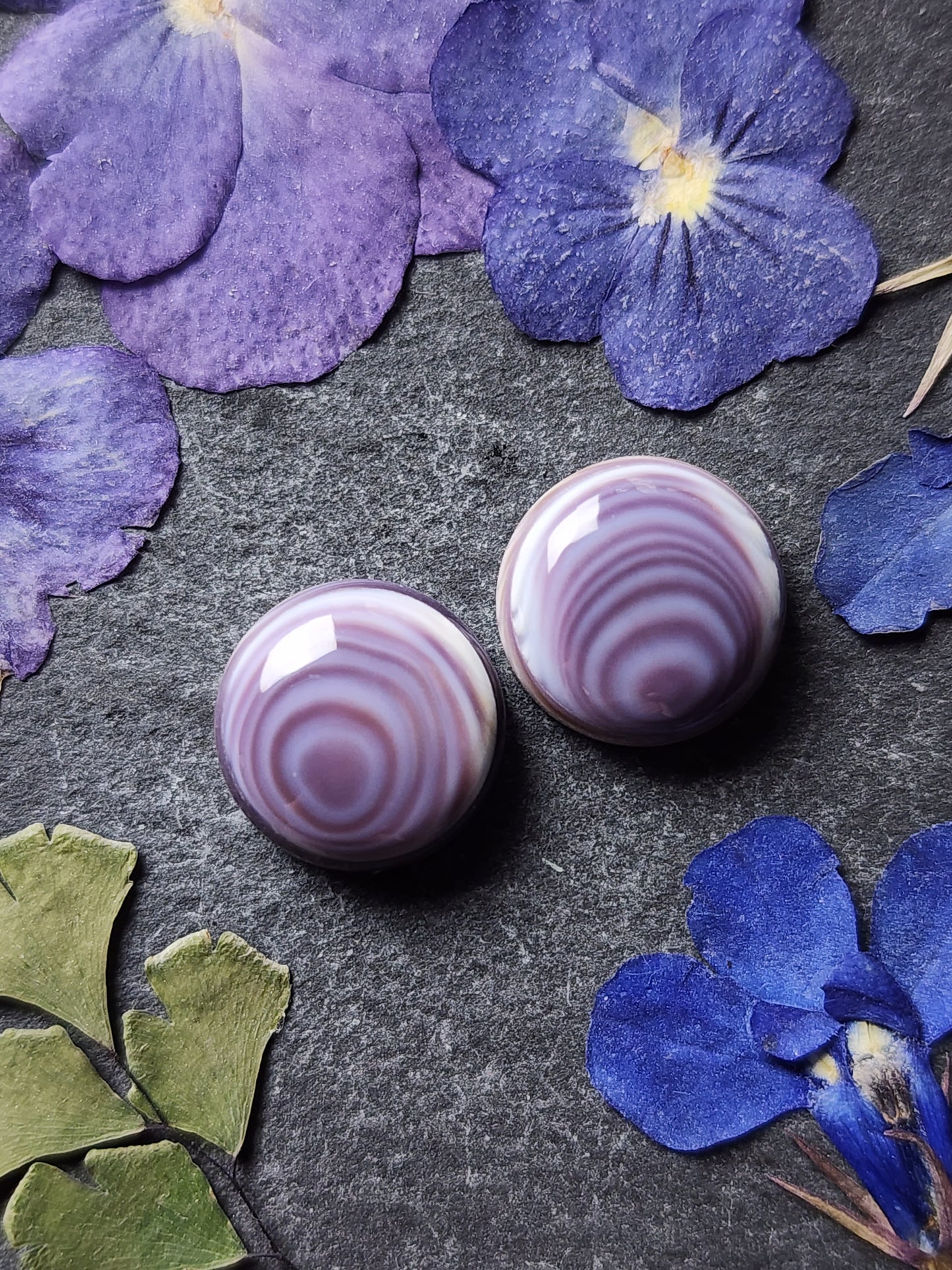 Wampum shell pair