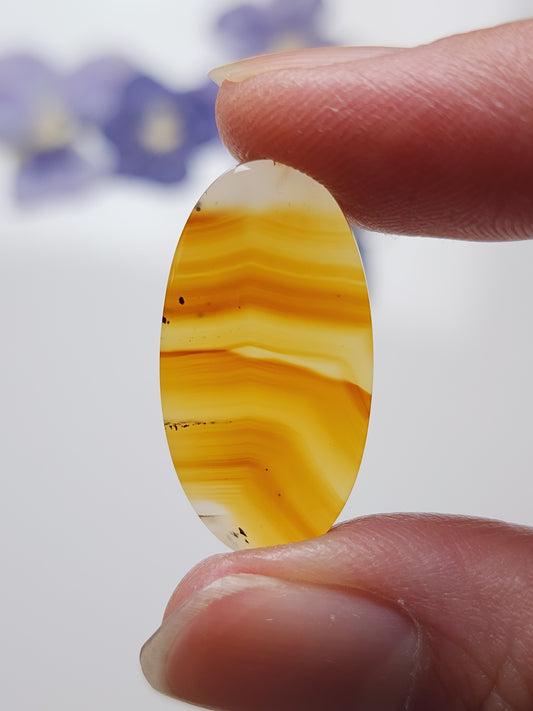 Montana agate