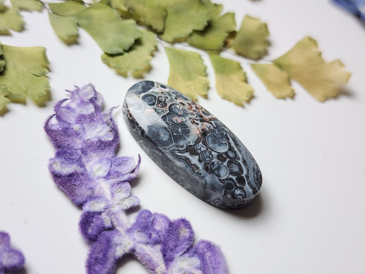 Galaxy Rhyolite