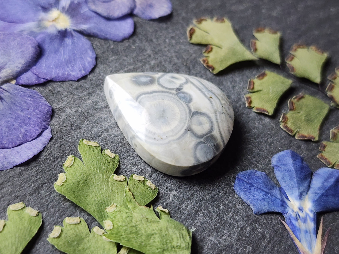 Galaxy Rhyolite