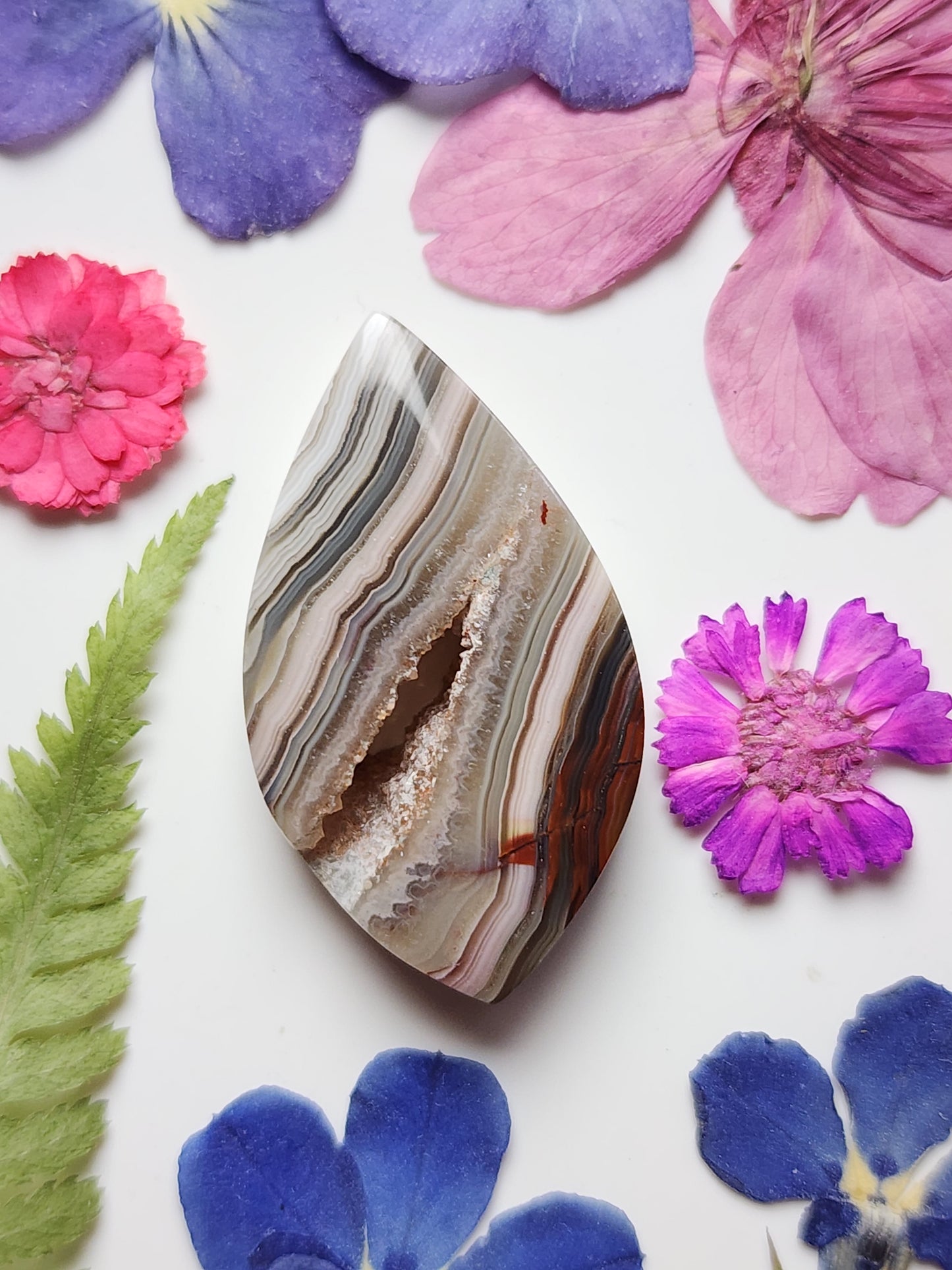 Laguna lace agate with crystal edge