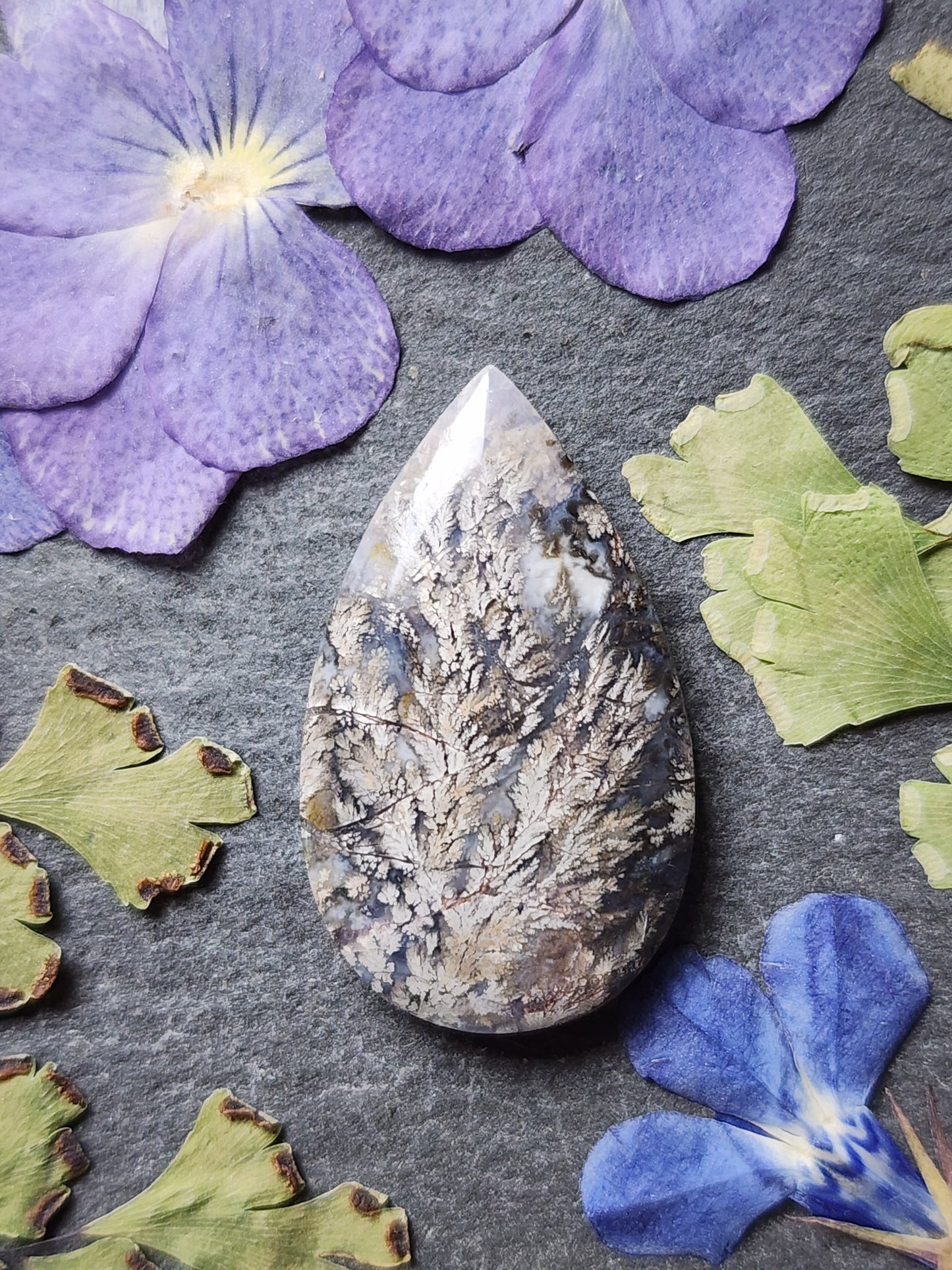 Dendritic plume agate