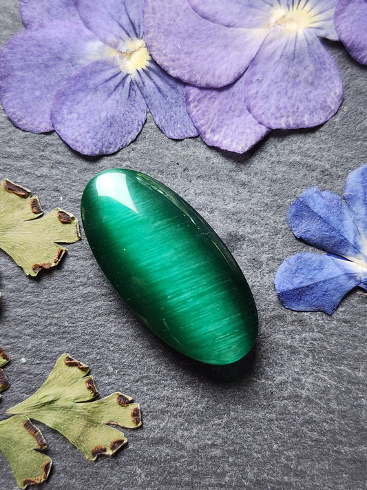 Fiber optic cat's eye glass