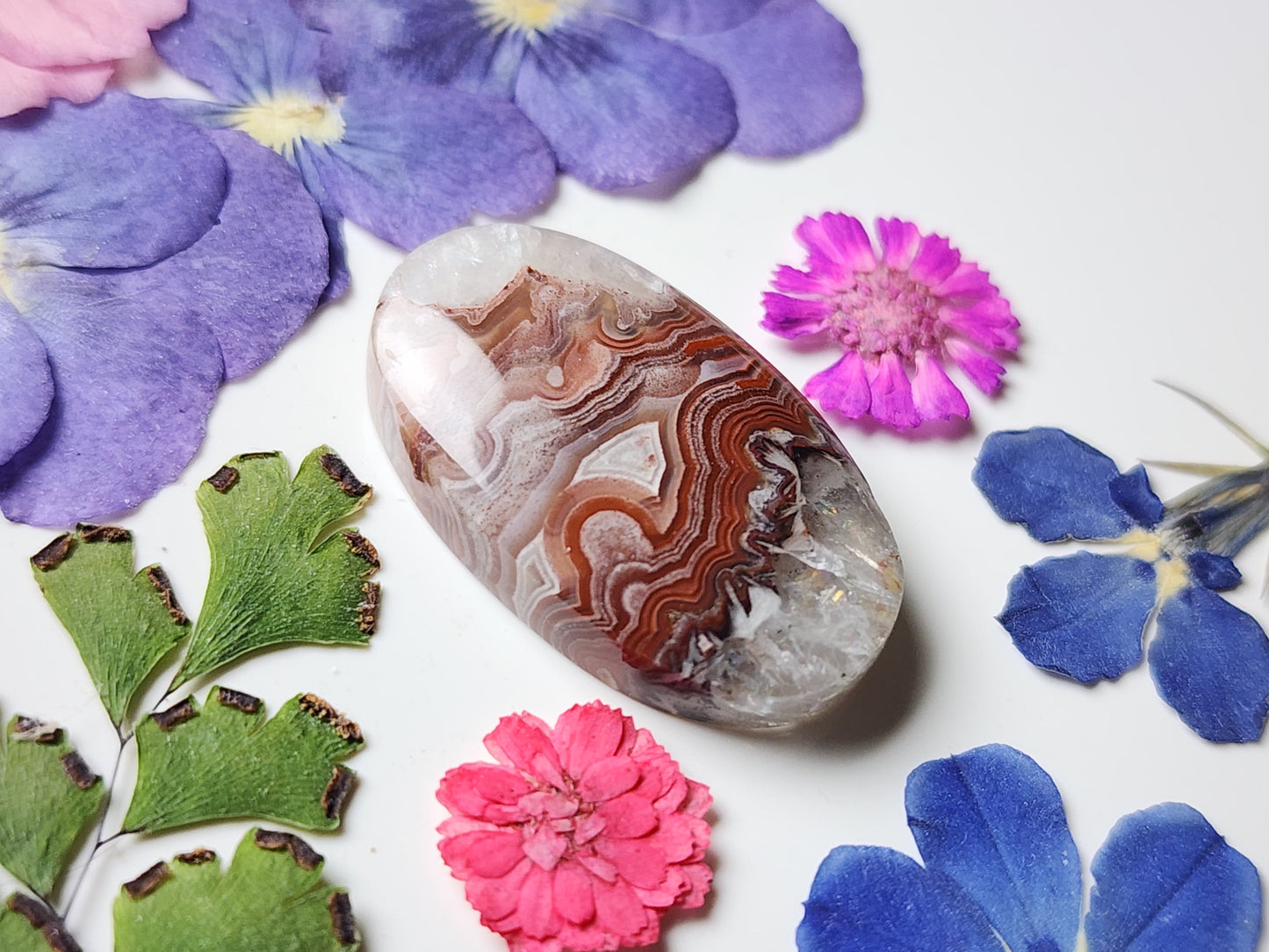 Laguna lace agate