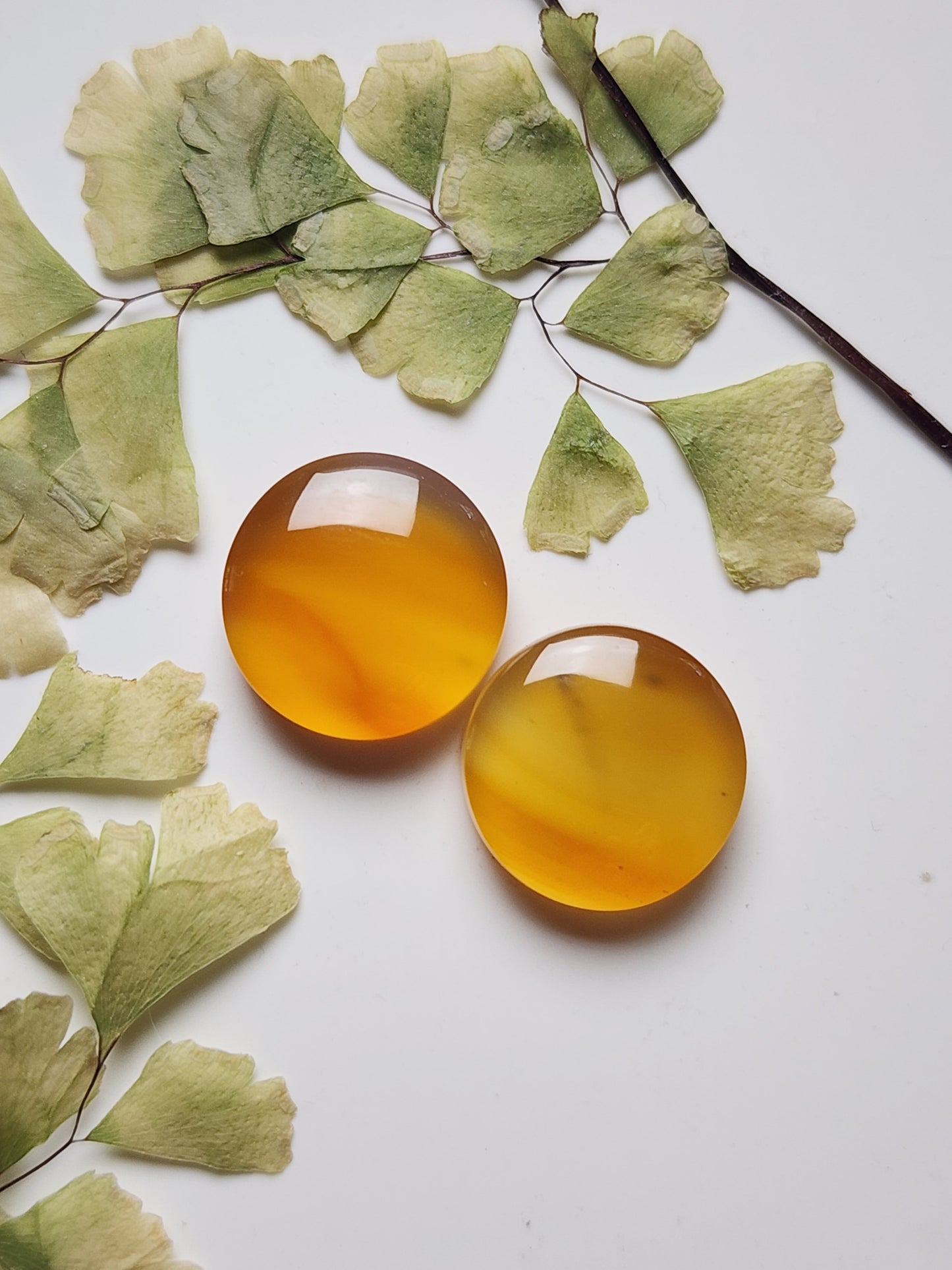 Montana agate pair