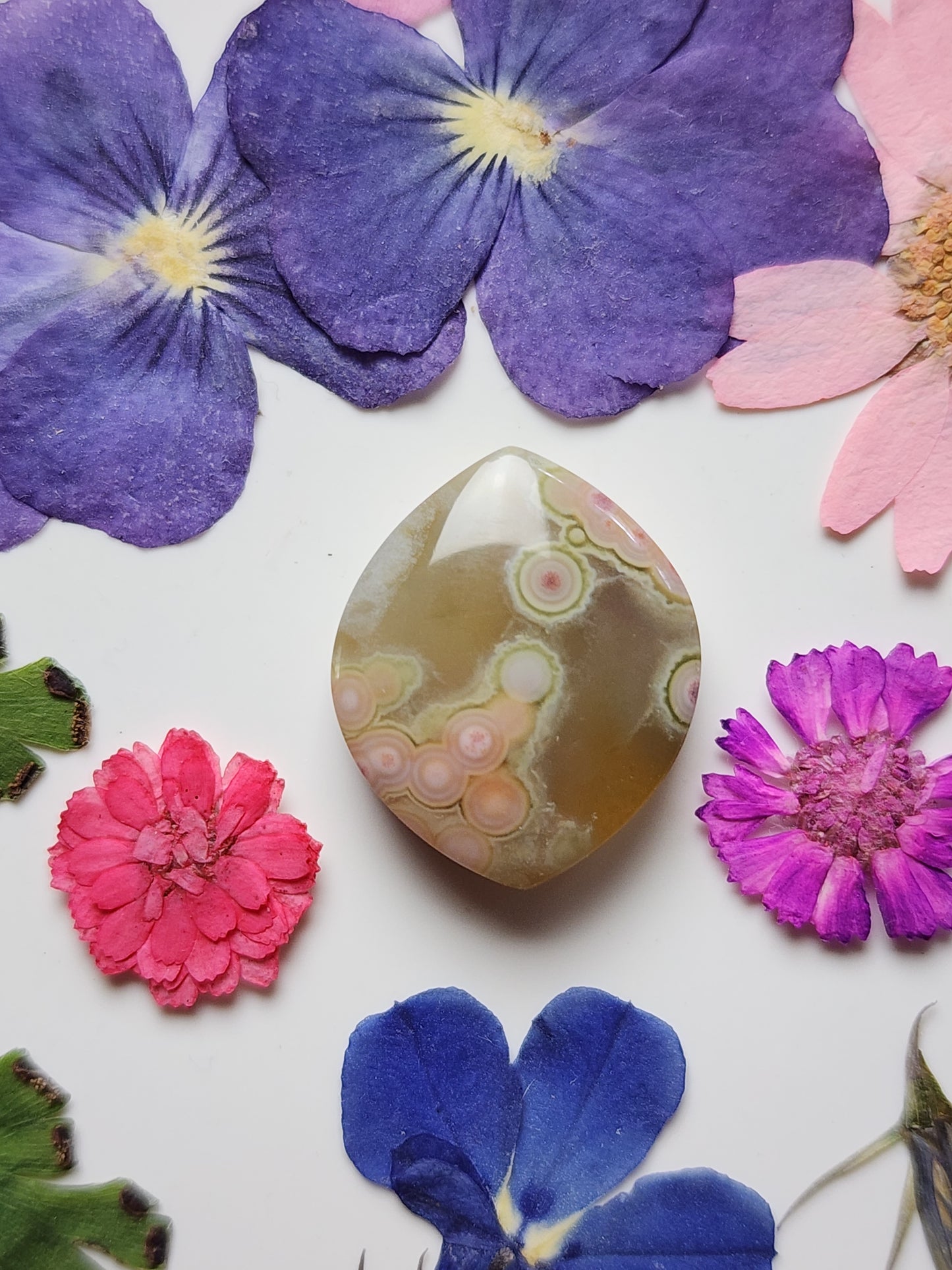 Ocean jasper