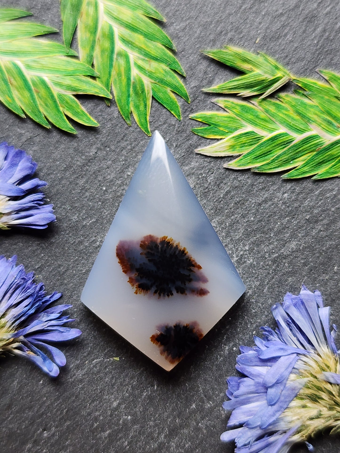 Montana agate