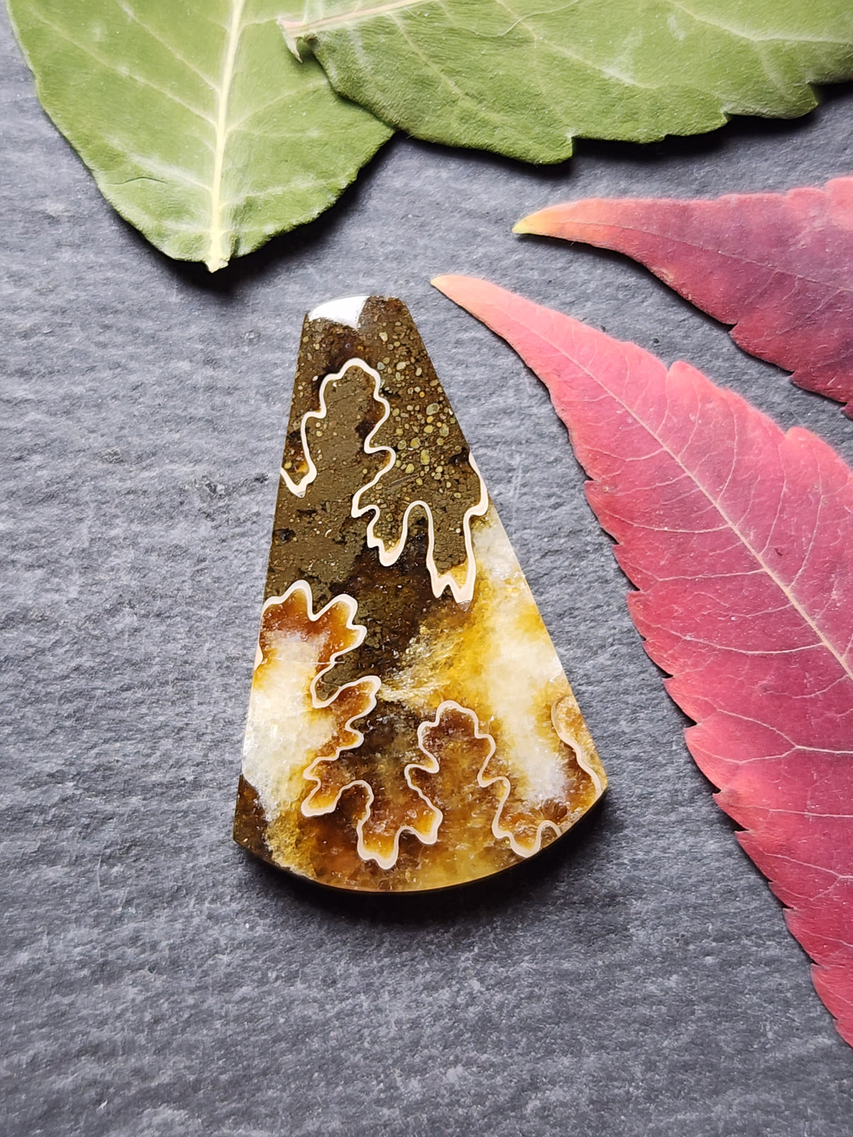 Suture Ammonite