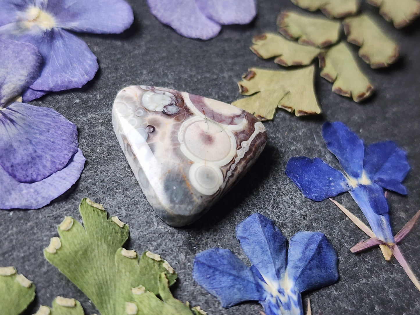 Galaxy Rhyolite