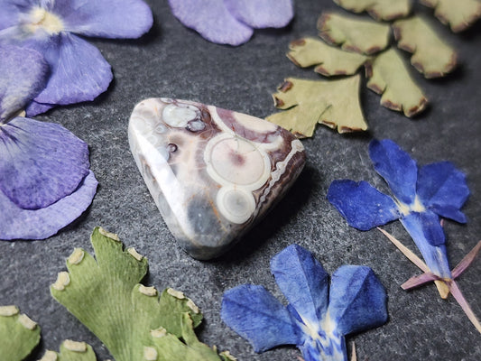 Galaxy Rhyolite