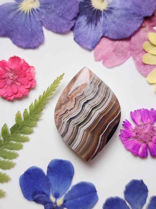 Laguna lace agate