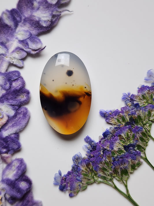 Montana agate