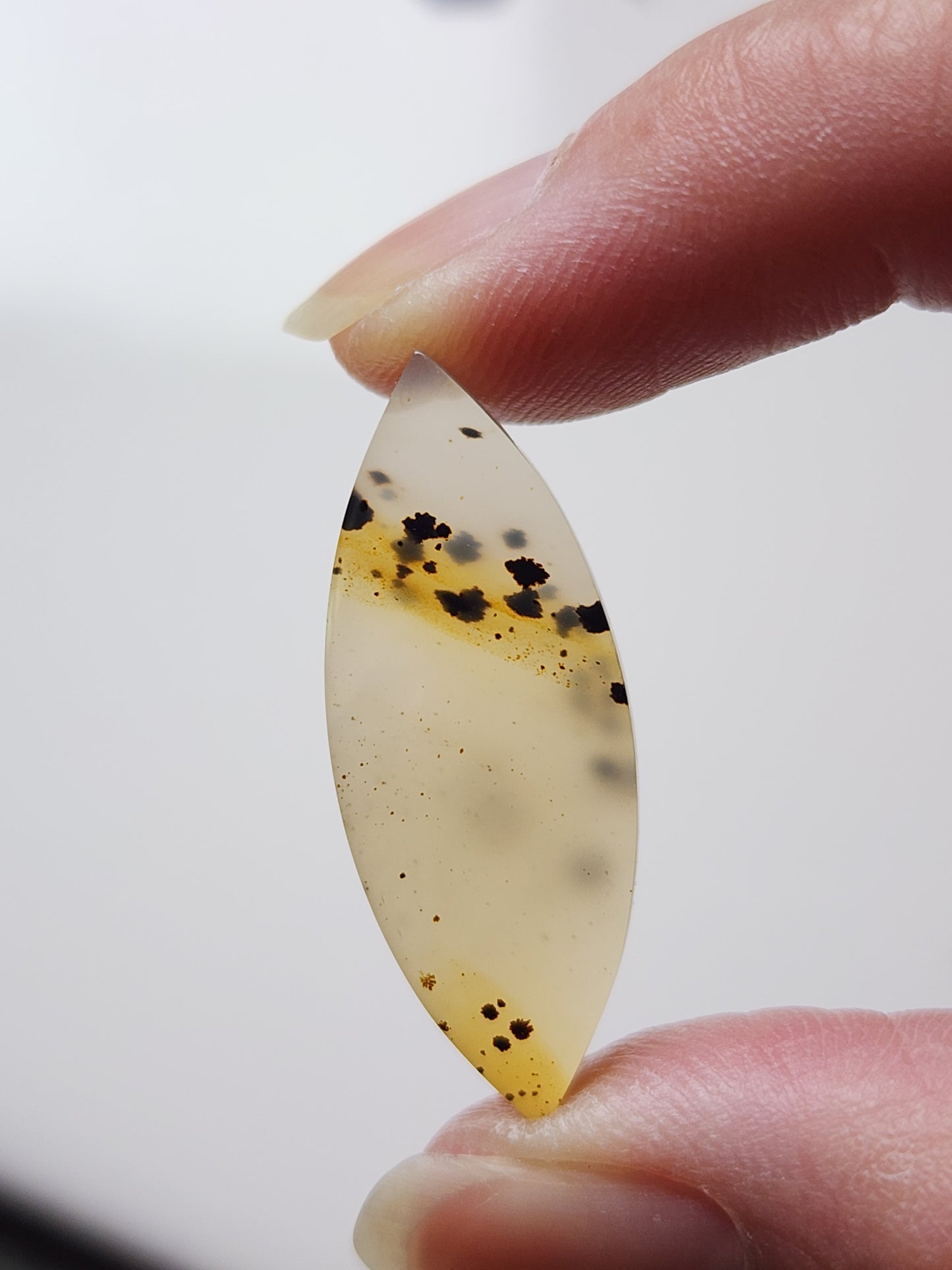Montana agate