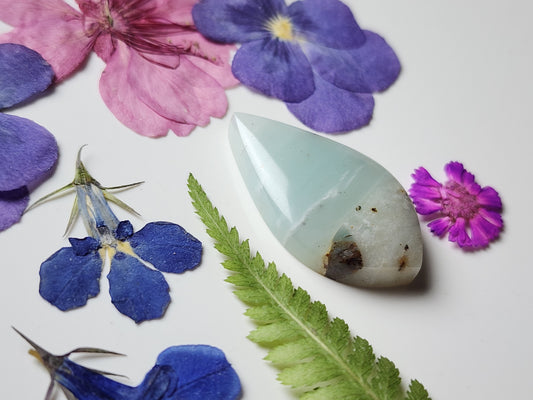 BC Ocean picture stone