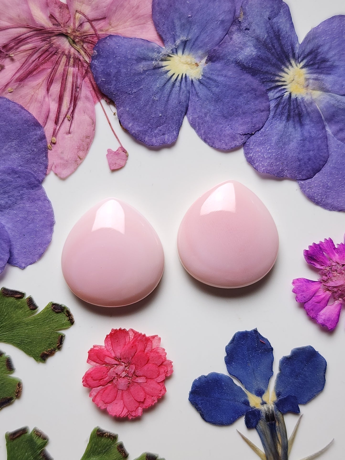 Pink Conch shell pair