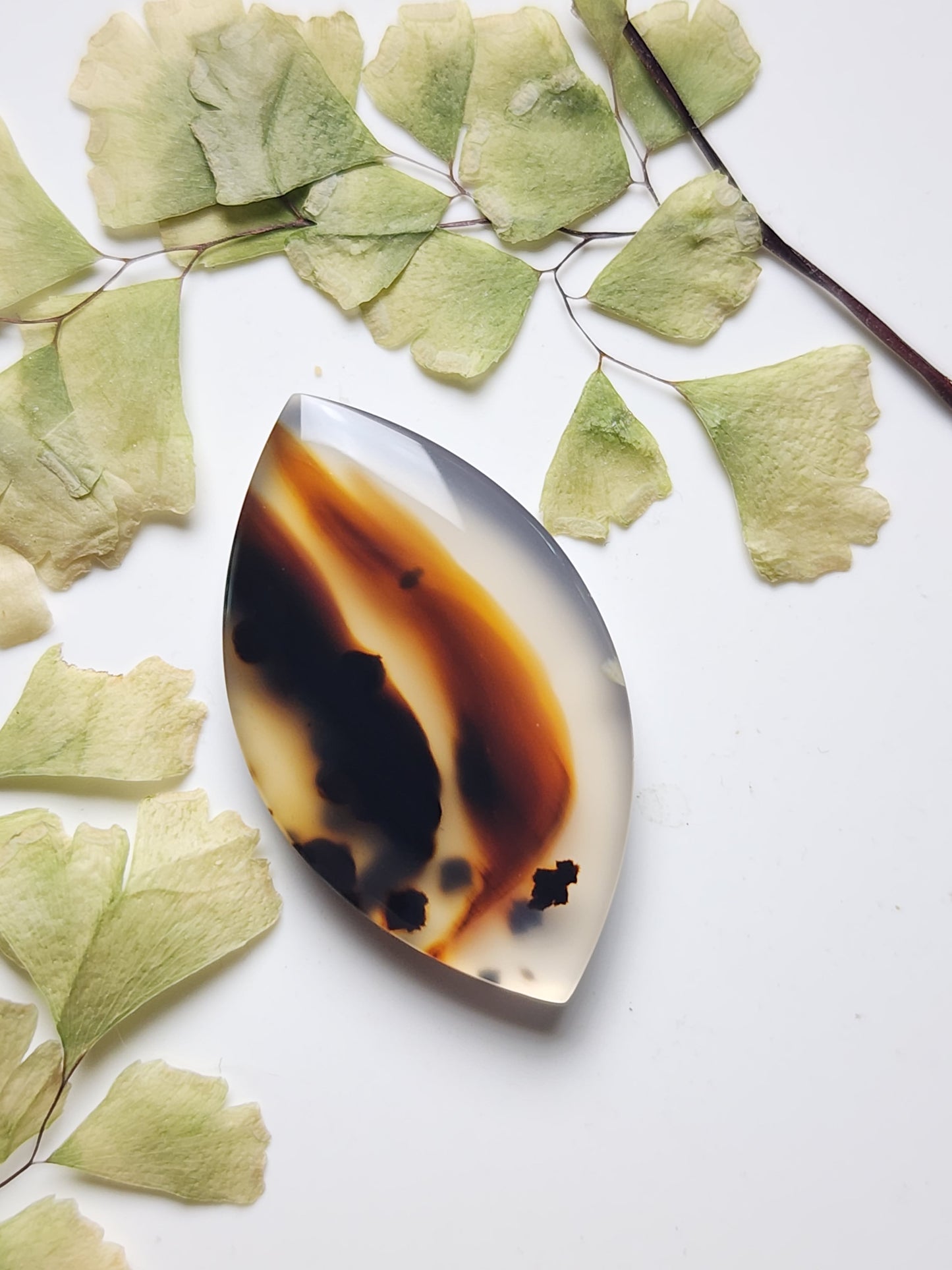 Montana agate