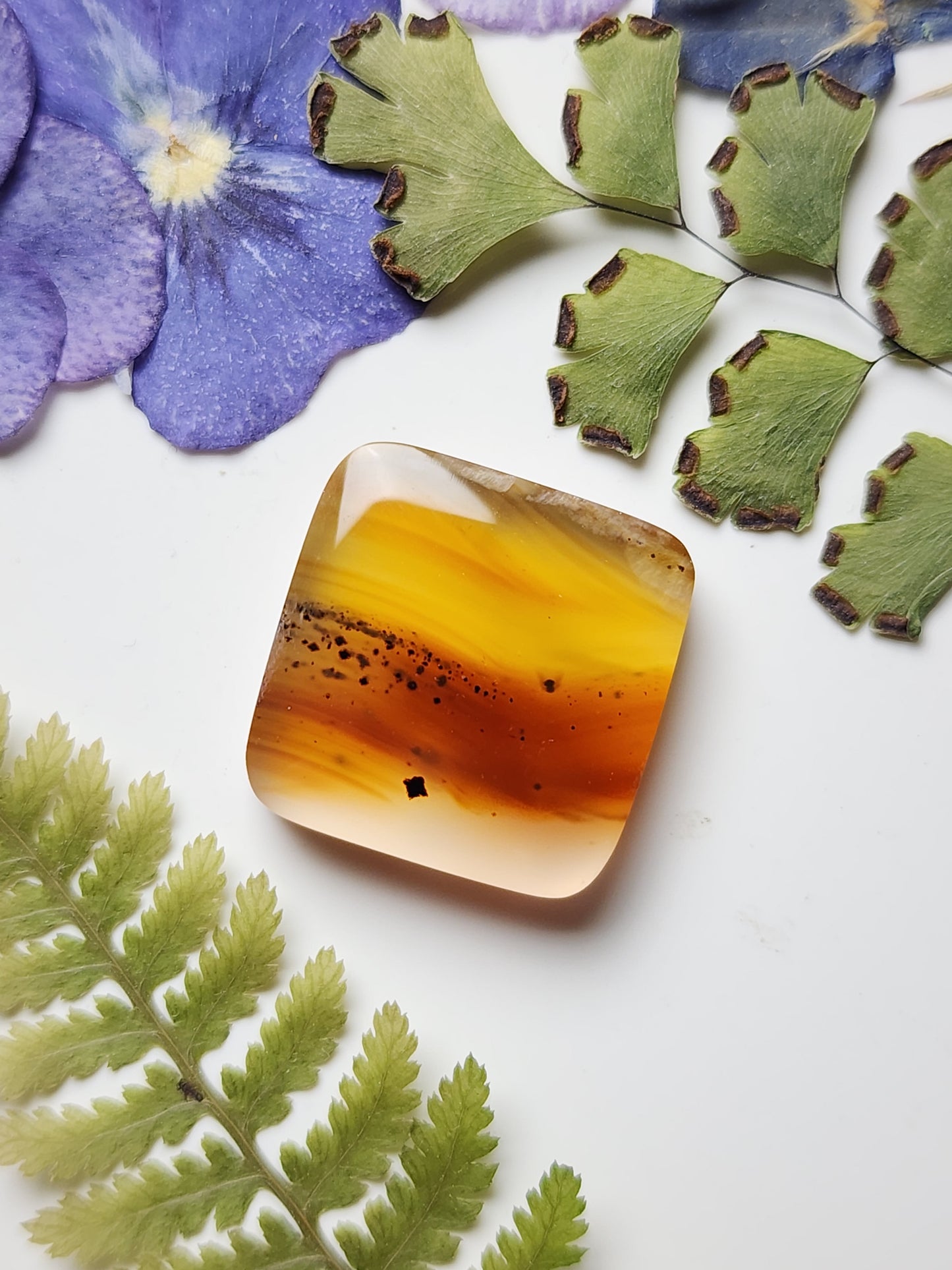 Montana agate
