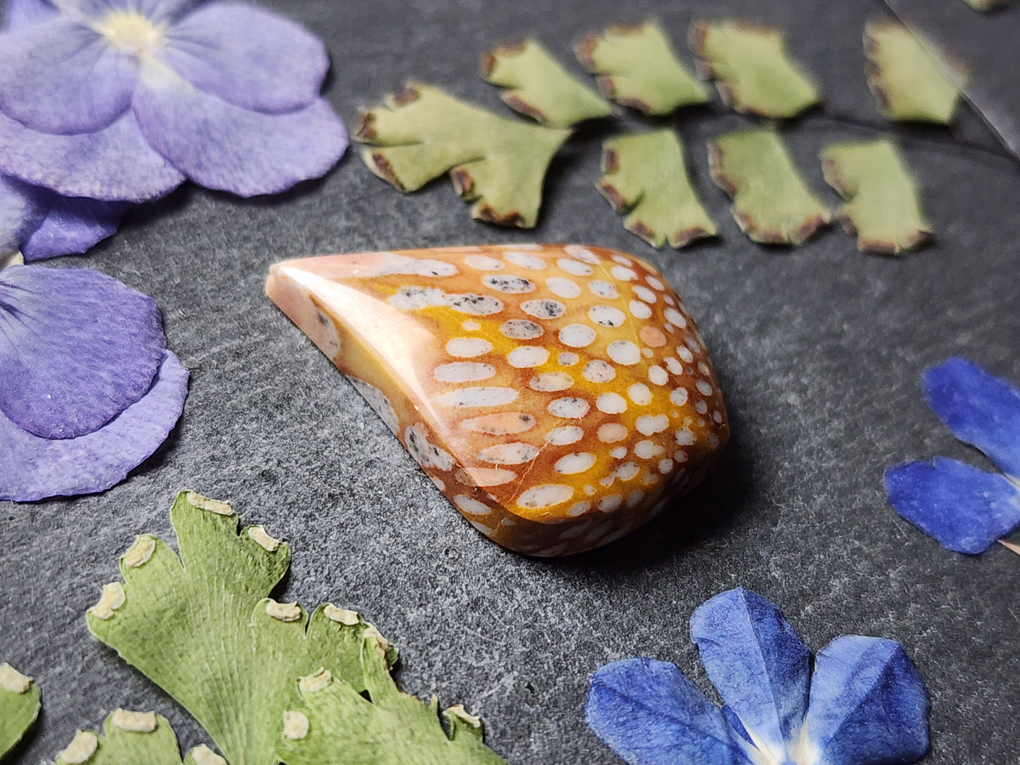 Spotted Fawn jasper