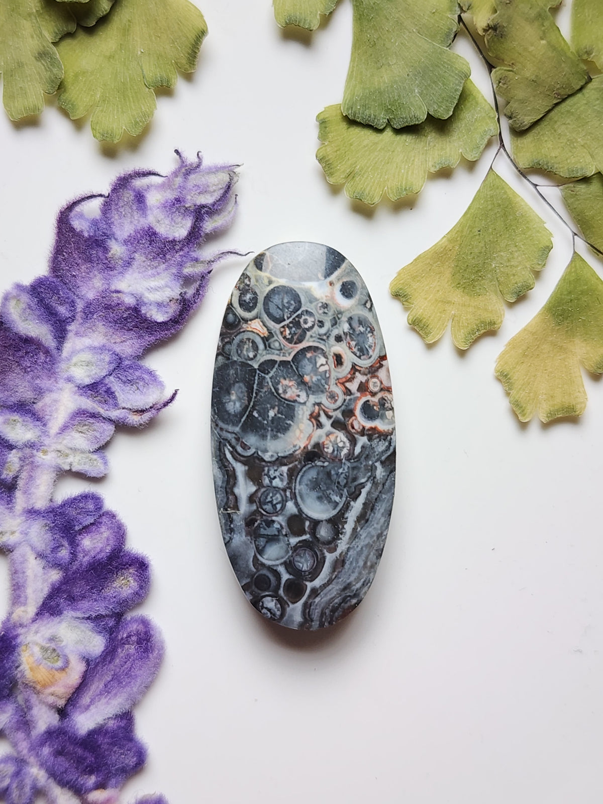 Galaxy Rhyolite