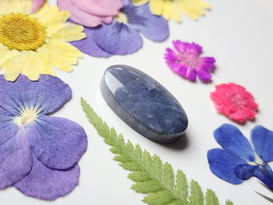 Blue Petrified palm wood