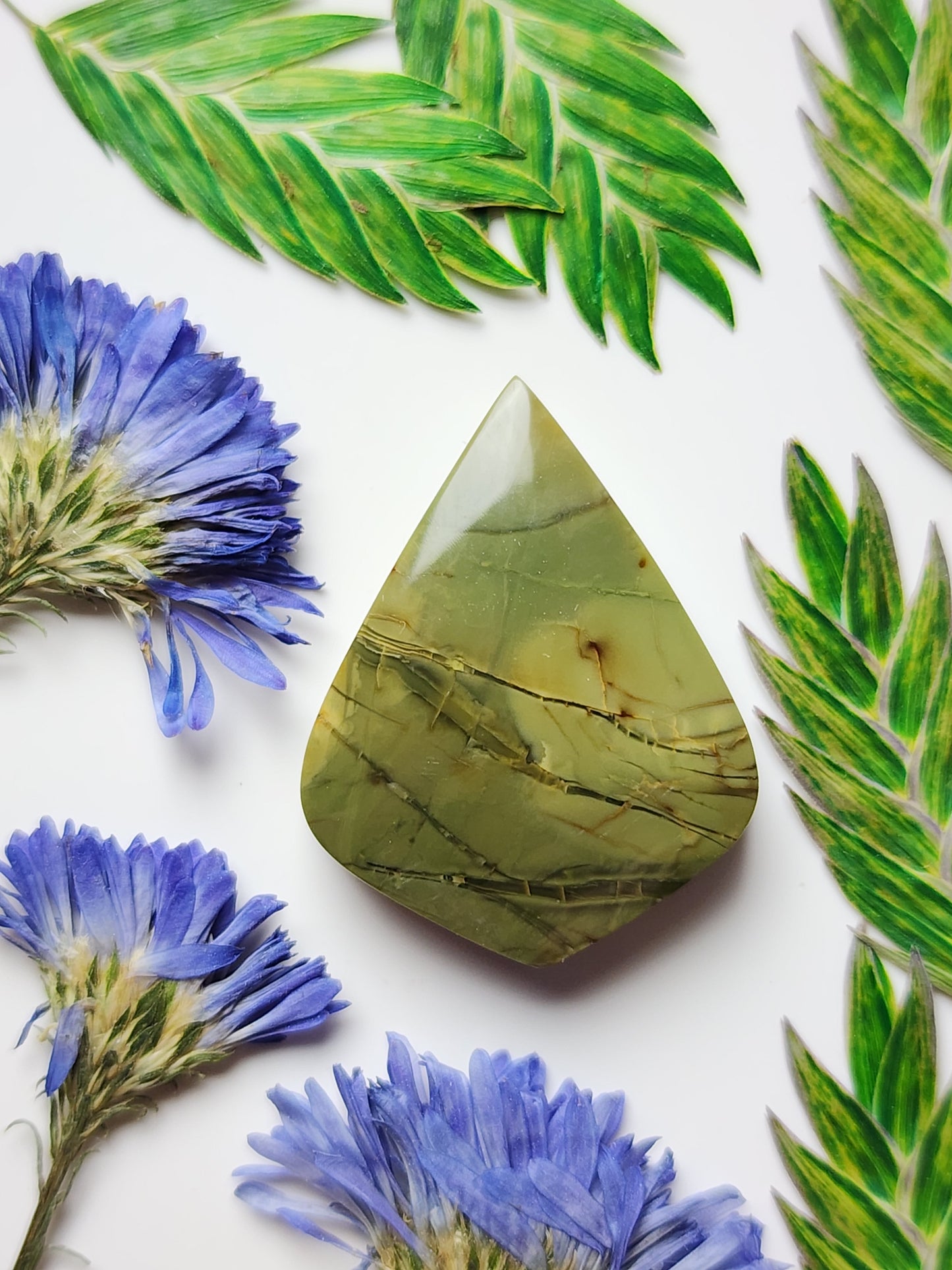 Morrisonite jasper