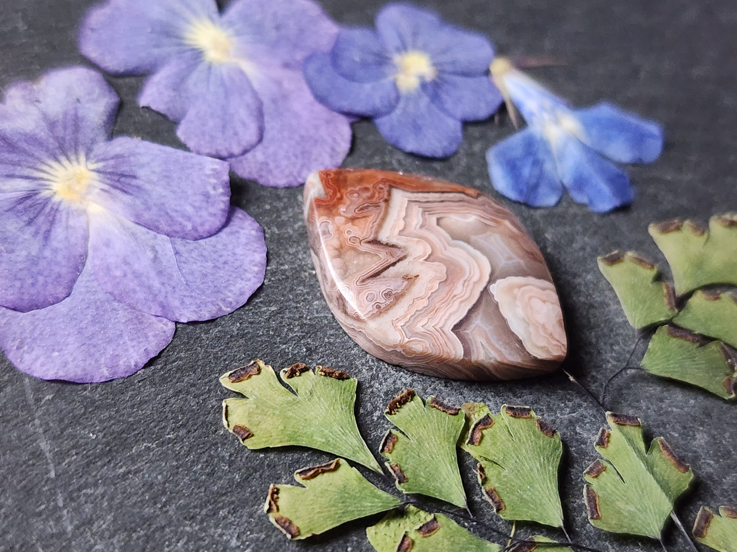 Laguna lace agate