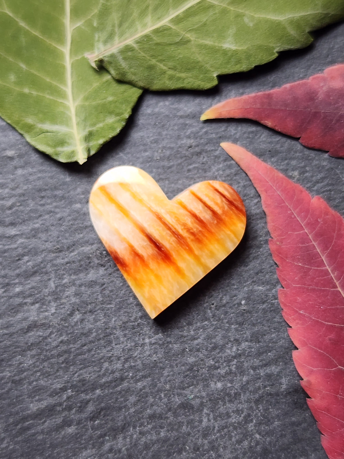 Spiny shell oyster heart