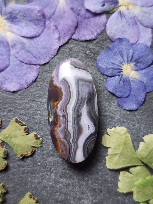 Purple passion agate