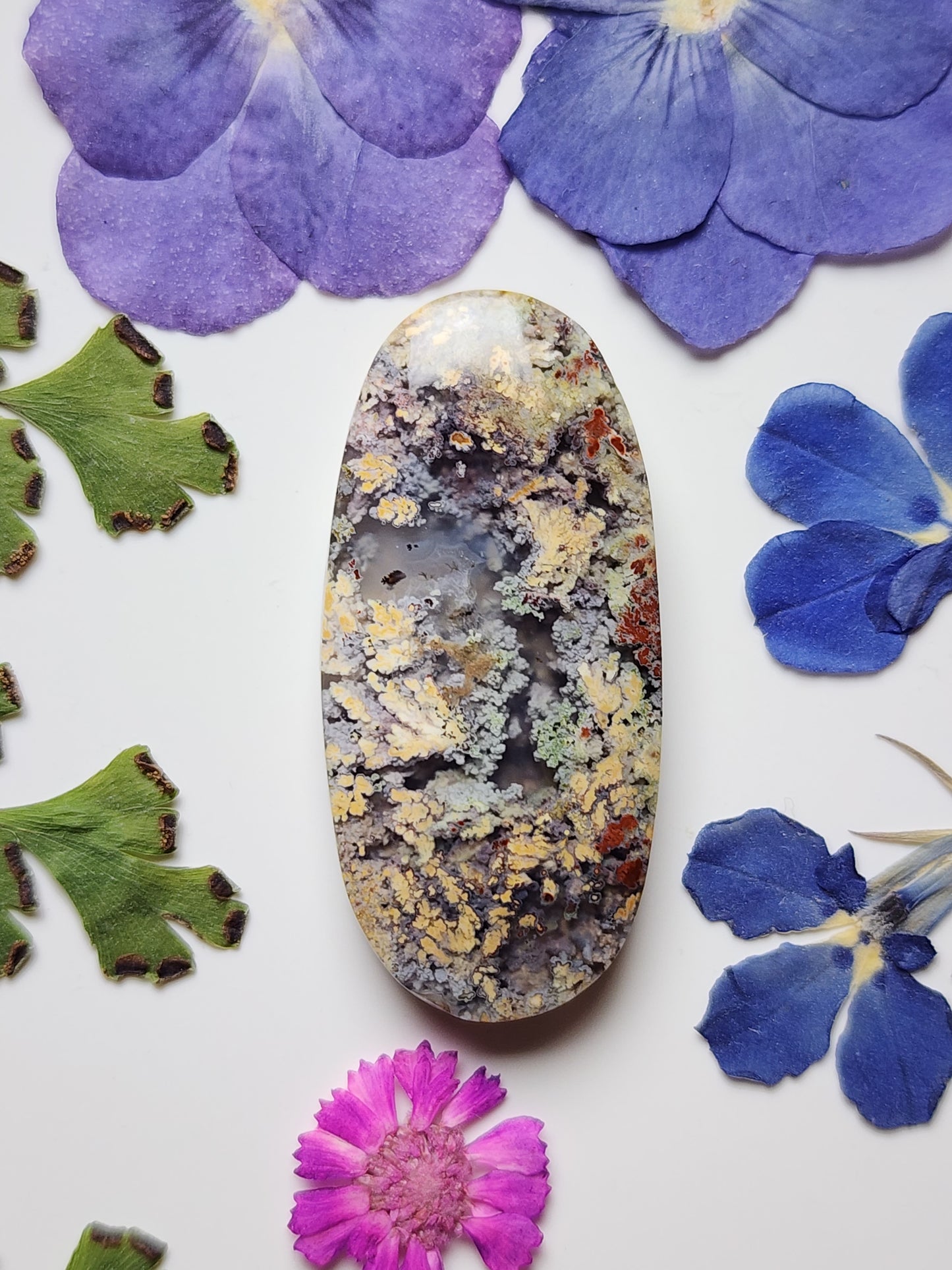 Garden Moss agate