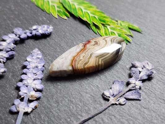 Laguna lace agate
