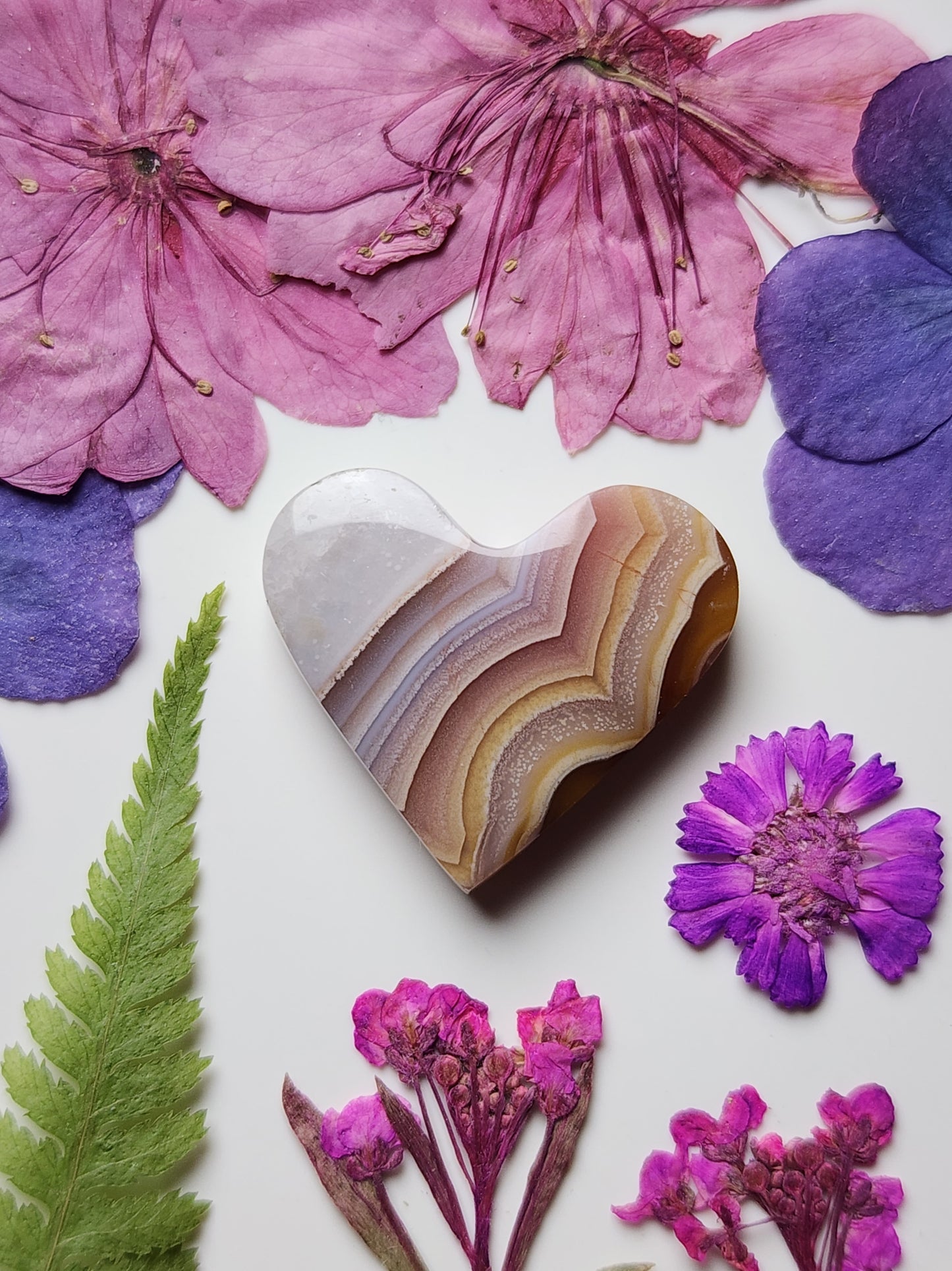 Agua Nueva agate heart