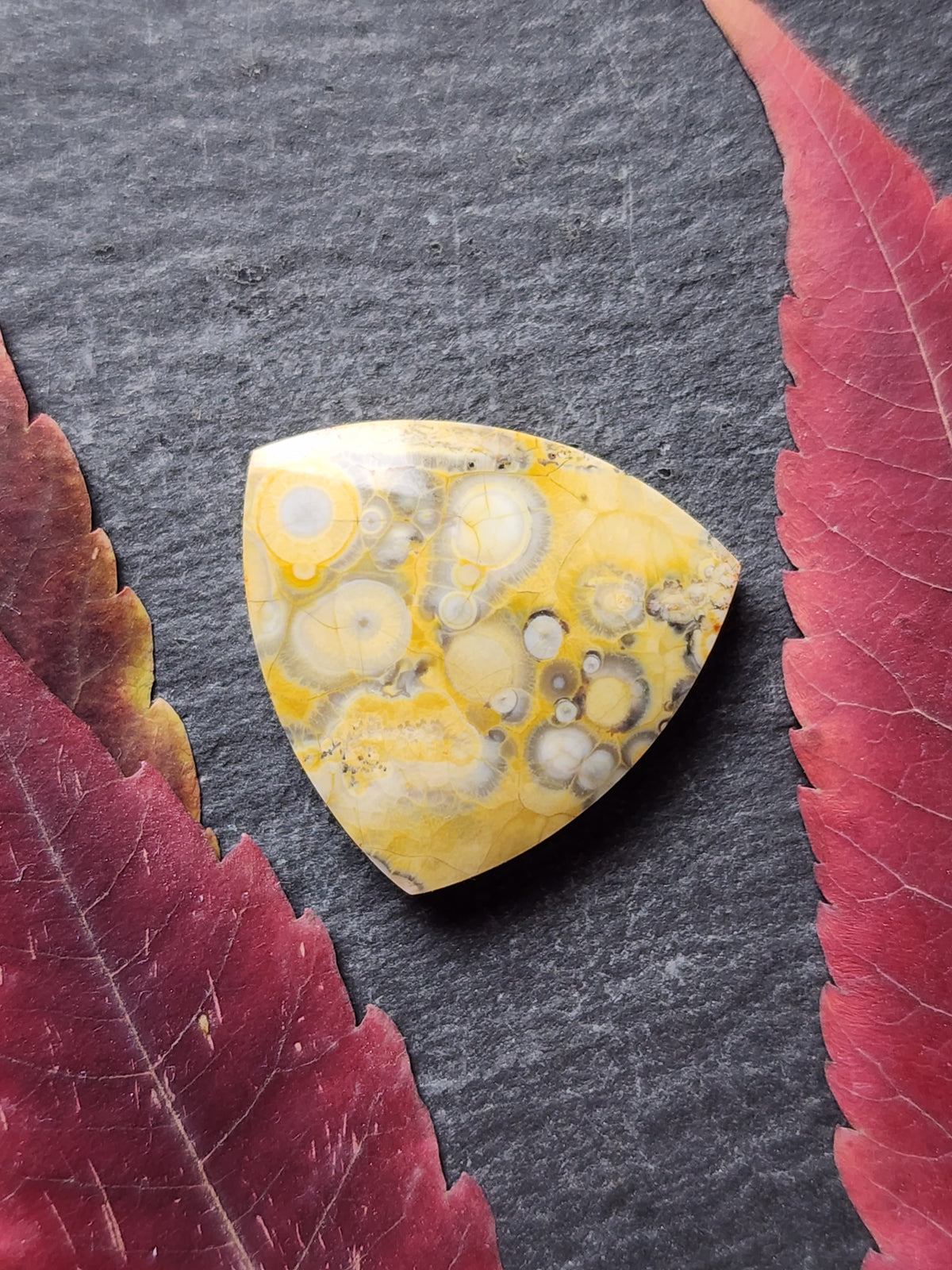 Galaxy Rhyolite