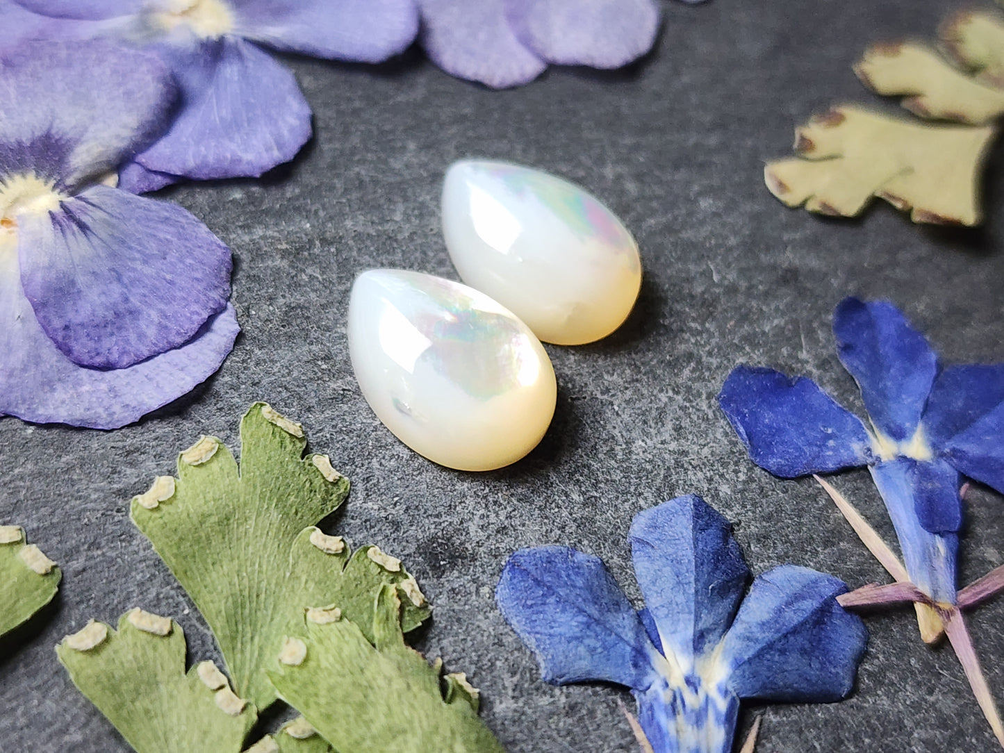 Mother of pearl shell pair (A1)