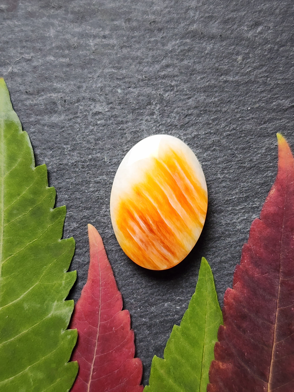 Spiny shell oyster
