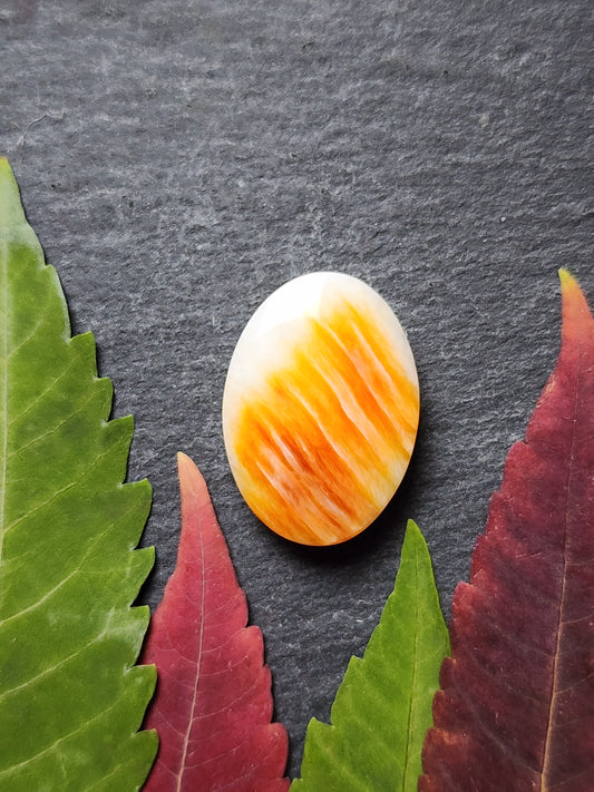 Spiny shell oyster