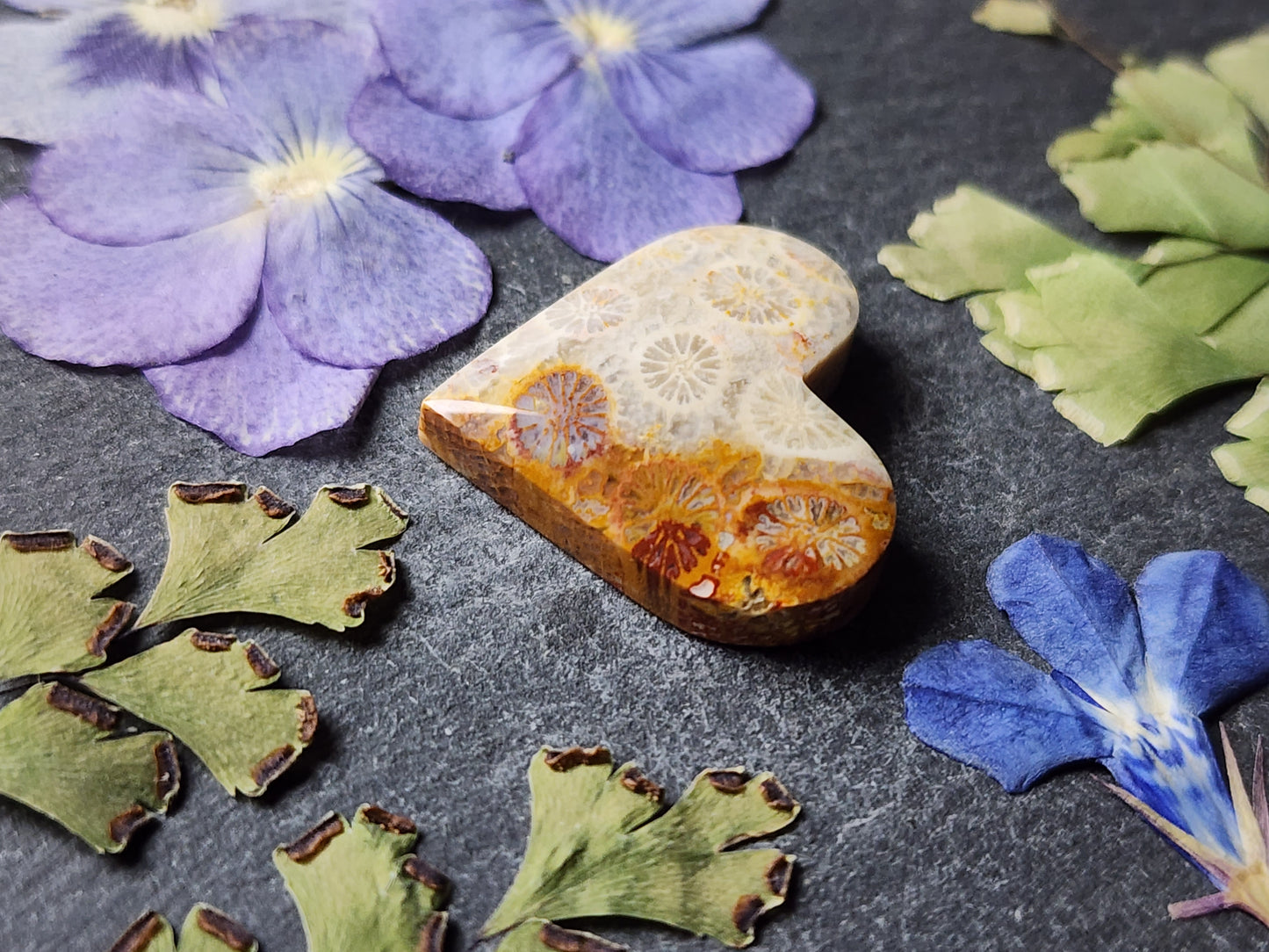 Fossilized coral heart