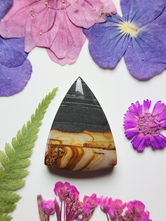 Red desert picture jasper
