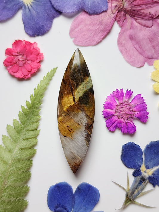 Tiger's eye