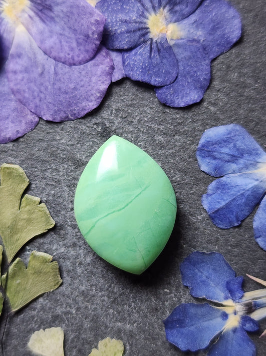 Newman Chrysoprase