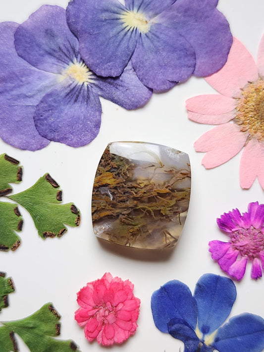 Priday Thunderegg moss agate