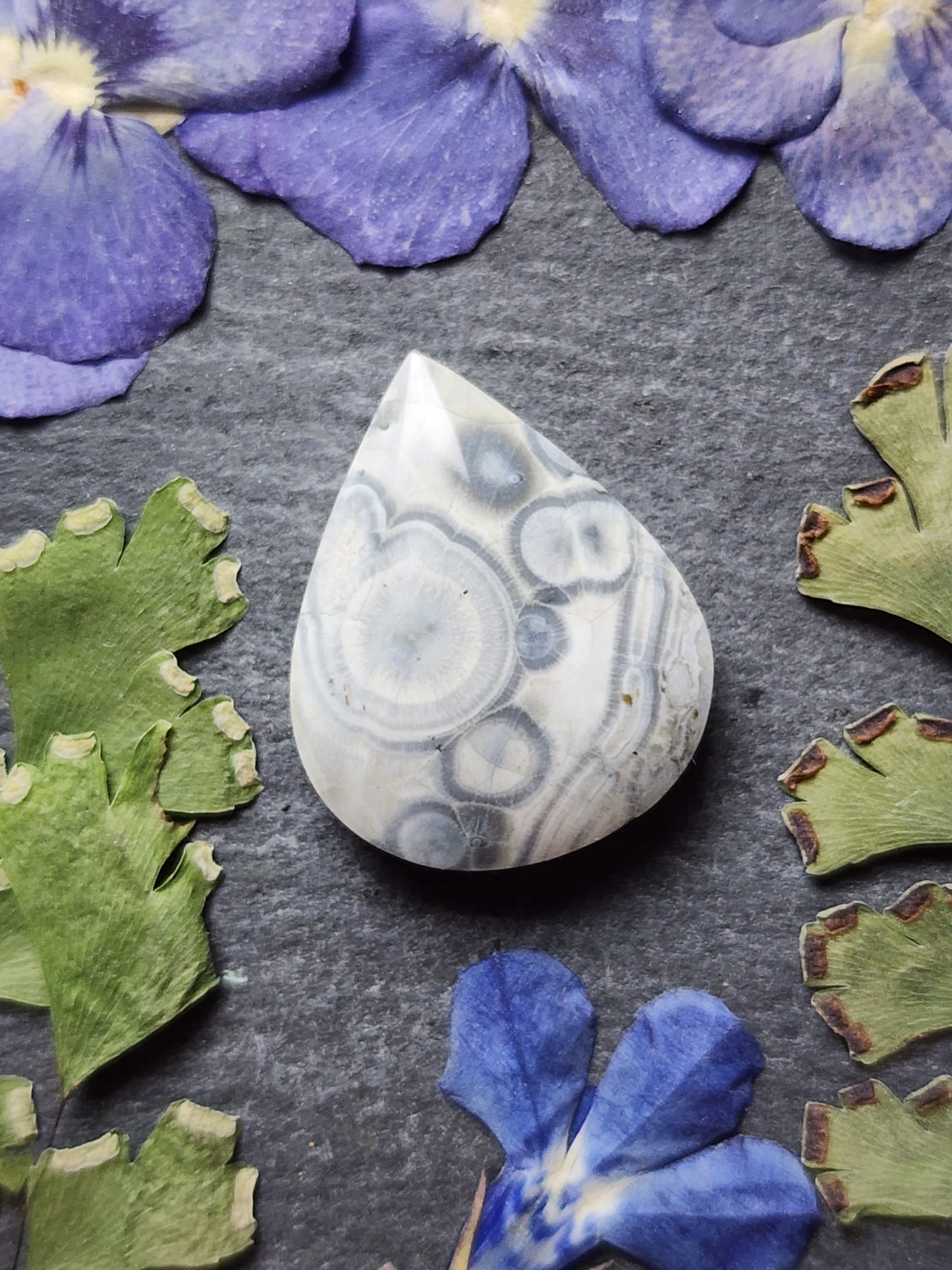 Galaxy Rhyolite