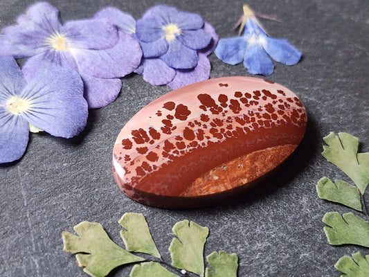 Mimbres Valley Apache Dendritic Rhyolite