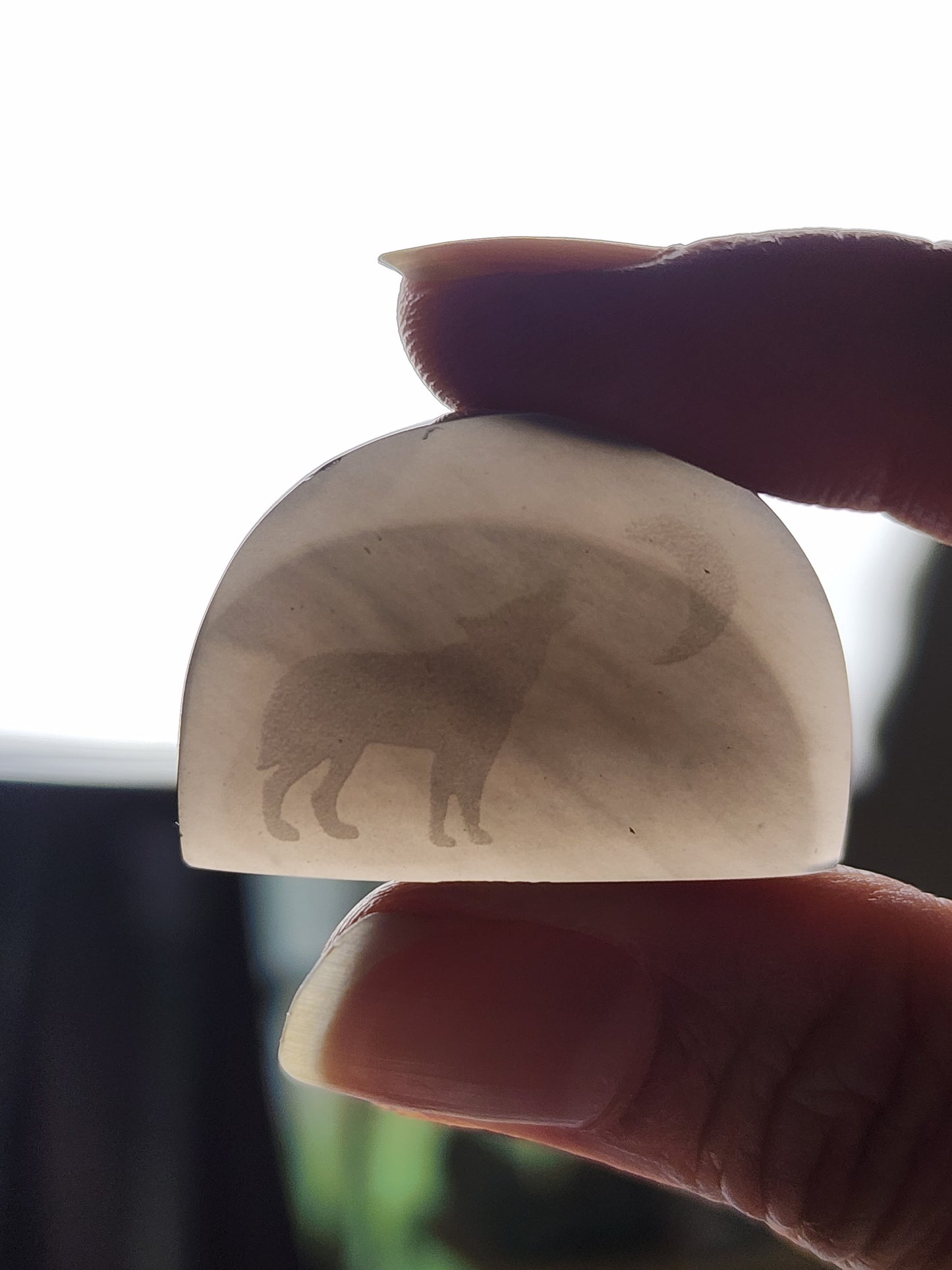 Wolf under the moon : Story stone
