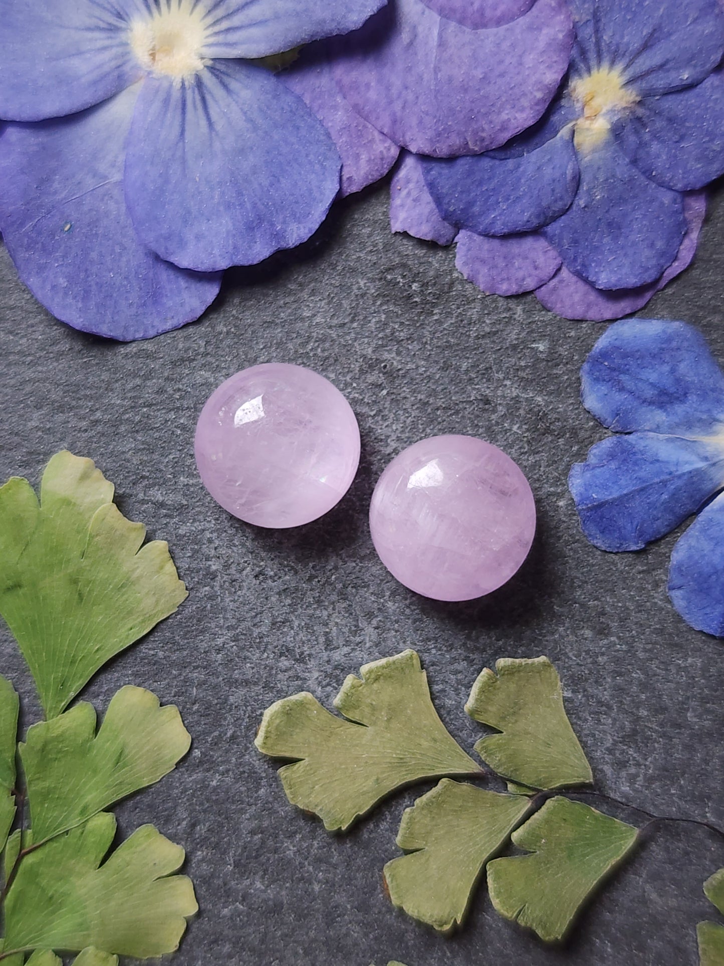 Lavender Kunzite pair